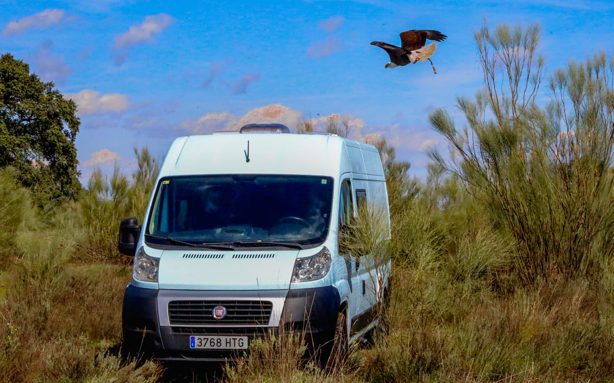 Camper para alquilar